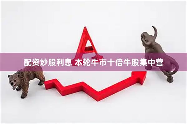 配资炒股利息 本轮牛市十倍牛股集中营