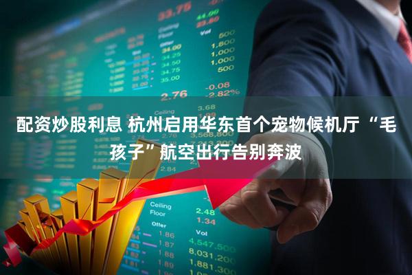 配资炒股利息 杭州启用华东首个宠物候机厅 “毛孩子”航空出行告别奔波
