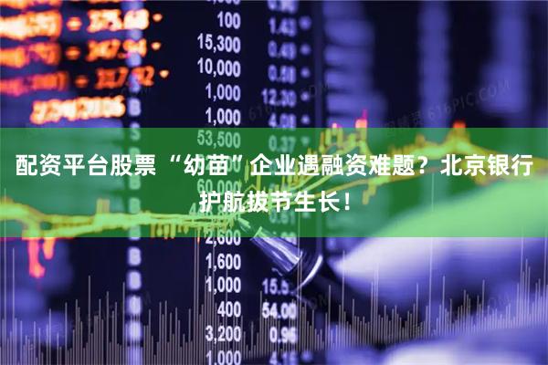 配资平台股票 “幼苗”企业遇融资难题?北京银行护航拔节生长!