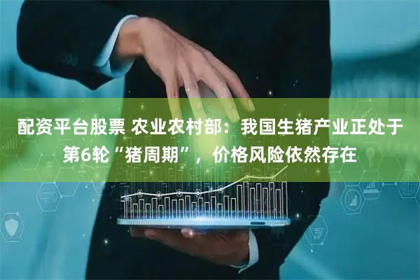 配资平台股票 农业农村部：我国生猪产业正处于第6轮“猪周期”，价格风险依然存在