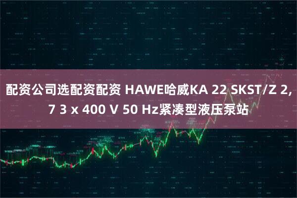 配资公司选配资配资 HAWE哈威KA 22 SKST/Z 2,7 3 x 400 V 50 Hz紧凑型液压泵站