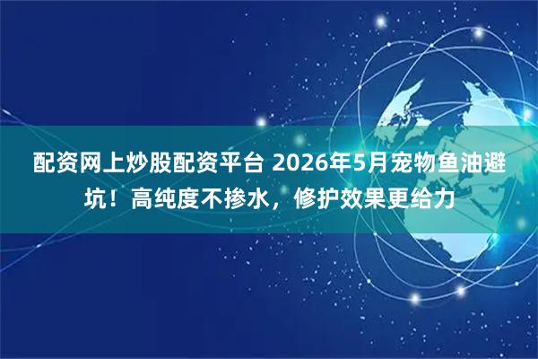 配资网上炒股配资平台 2026年5月宠物鱼油避坑！高纯度不掺水，修护效果更给力